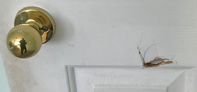 interior door hole repair Cambria