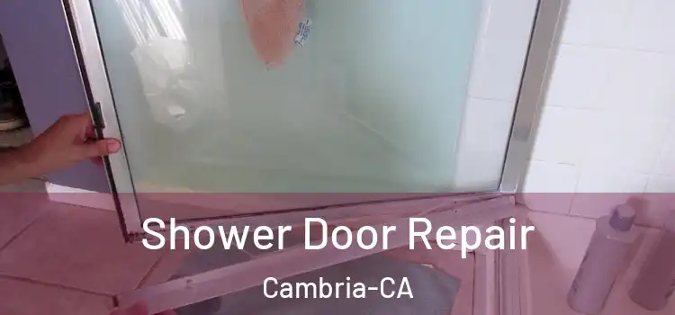  Shower Door Repair Cambria-CA